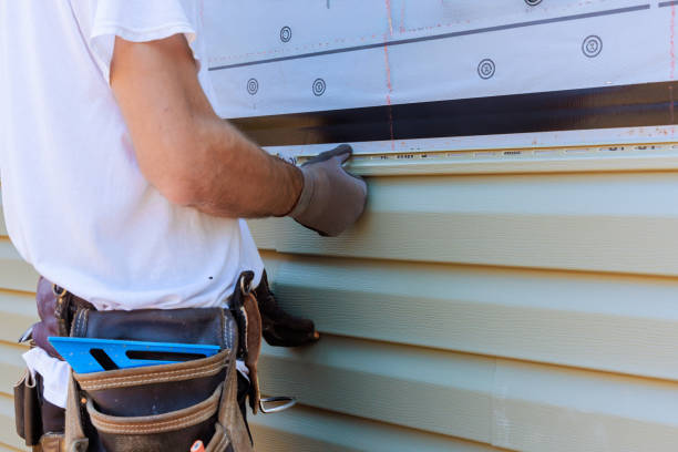 Affordable Emergency Siding Repair solutions in River Grove, IL